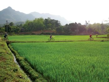 Riding through rice paddies in northern Vietnam -  Photo: Amanda Fletcher