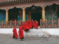 Young Bhutanese monks flow out from the monastery to take a break from their daily prayers. |  <i>Maria Visconti</i>
