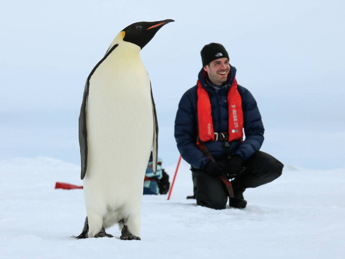 Up close with the majestic Emperor Penguin |  <i>Kyle Super</i>