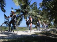 Cycling through rice paddies outside of Hoi An |  <i>Julie Hauber</i>